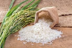 برنج طارم|آی دکه